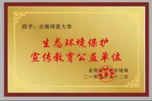 图片9