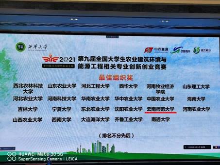 图片11